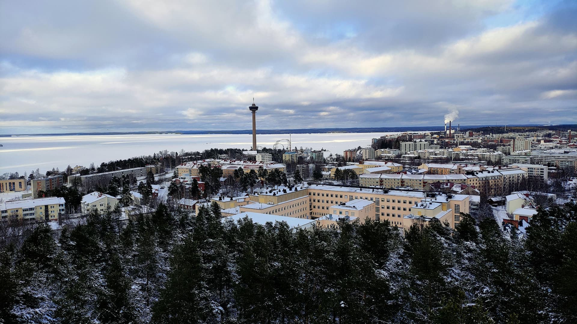  Avoimet työpaikat